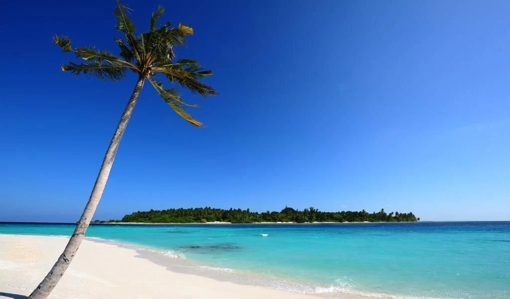 Maldivian Beach Backgrounds Hd 1080P Hd Wallpapers 1024x600 Desktop ...