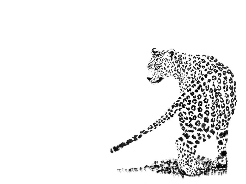 Puzzle Wallpapers By Elemnar On DeviantArt