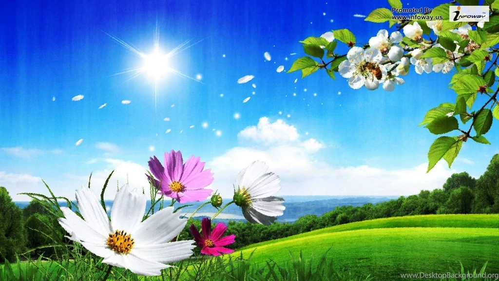 Beautiful Nature Scenery Photo 102 Of 342