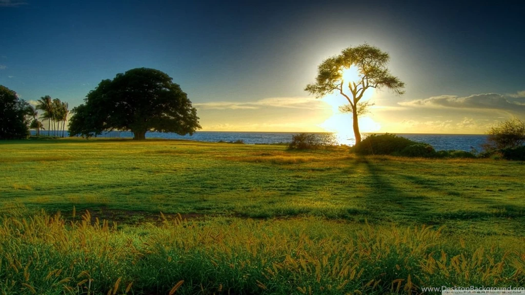 Landscape Nature HD Desktop Wallpapers : Widescreen : High ...