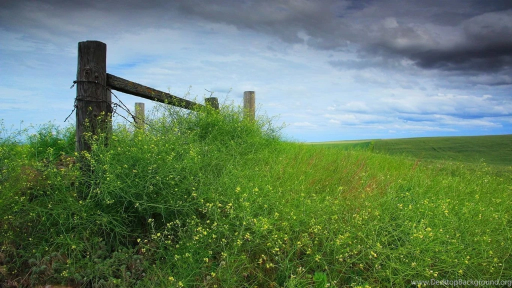 1366x768 Nature Meadow Fence Wallpapers