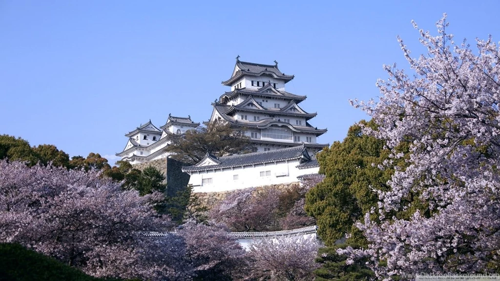 Himeji Castle And Cherry Blossoms HD Desktop Wallpapers : High ...