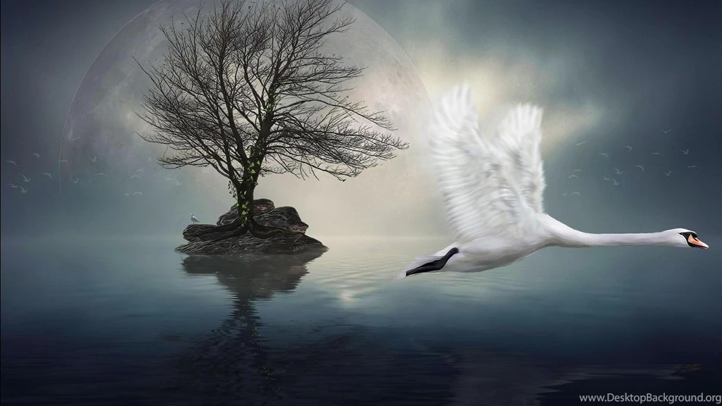 Beautiful Surrealism Wallpapers (