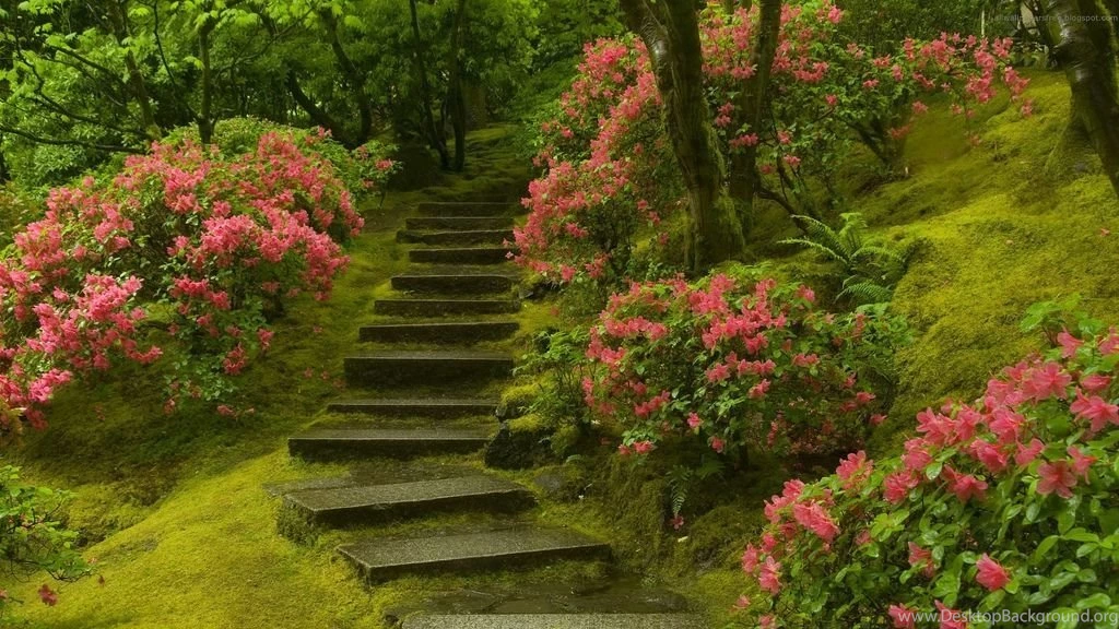 20 Amazing Nature Full HD Wallpapers 1080p Set 2 003