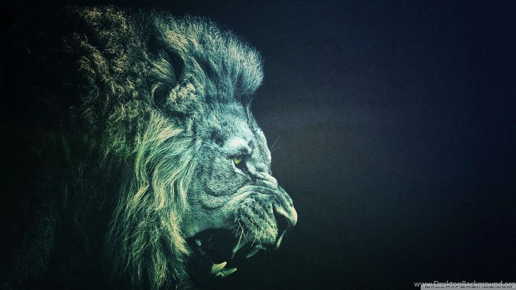 Top Black Lion Hd Images For Pinterest