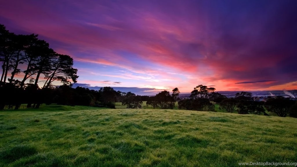 1080p HD Wallpapers