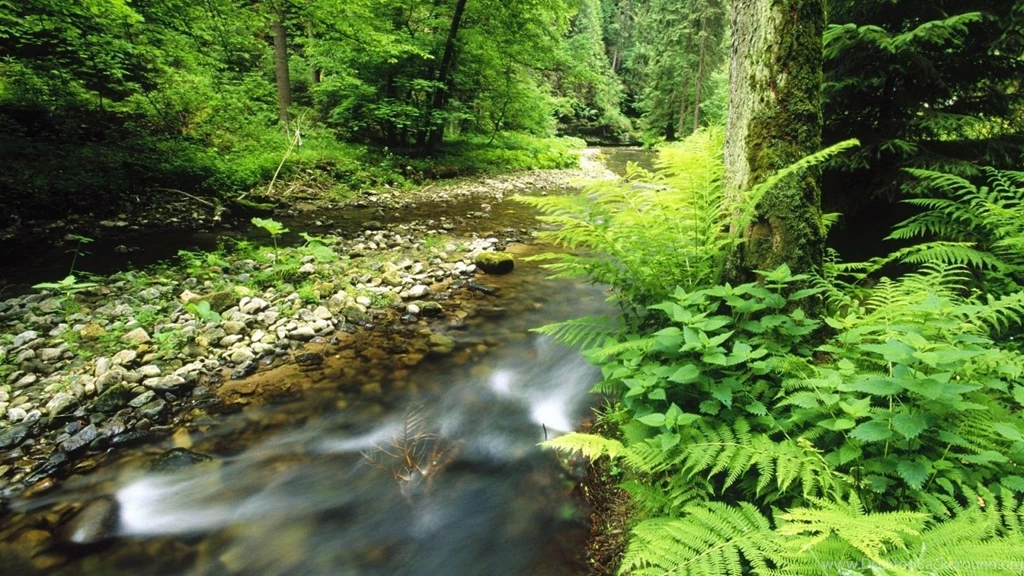 Wallpapers catalogue.com Nature Wallpapers Polenz, Sachsische ...