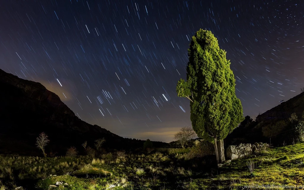 Daily Wallpaper: Star Trails At Night