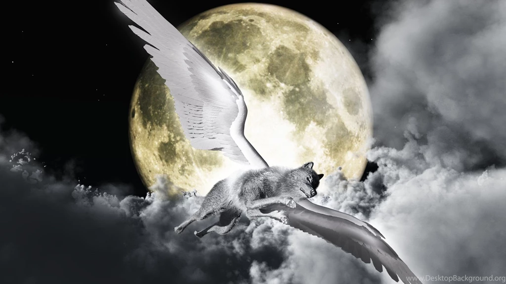 Wolf Hd Wallpapers
