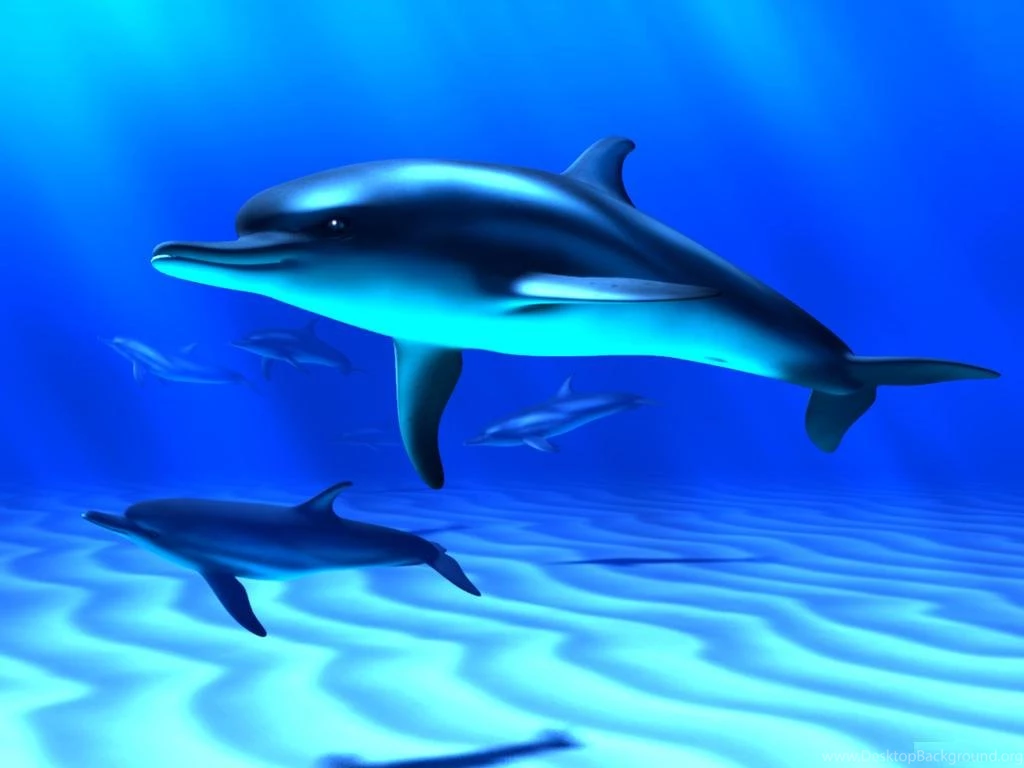 Fish Desktop Wallpapers