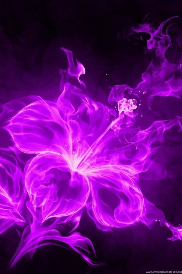 F7191a2936de6080_640x960.jpg
