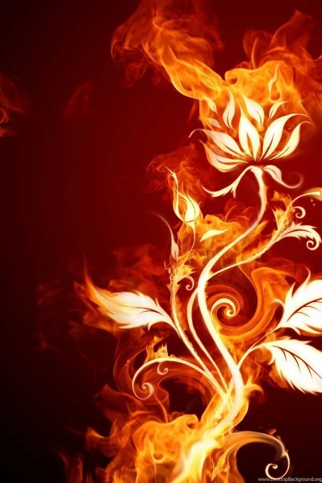 640x960 Fire Flower Iphone 4 Wallpapers