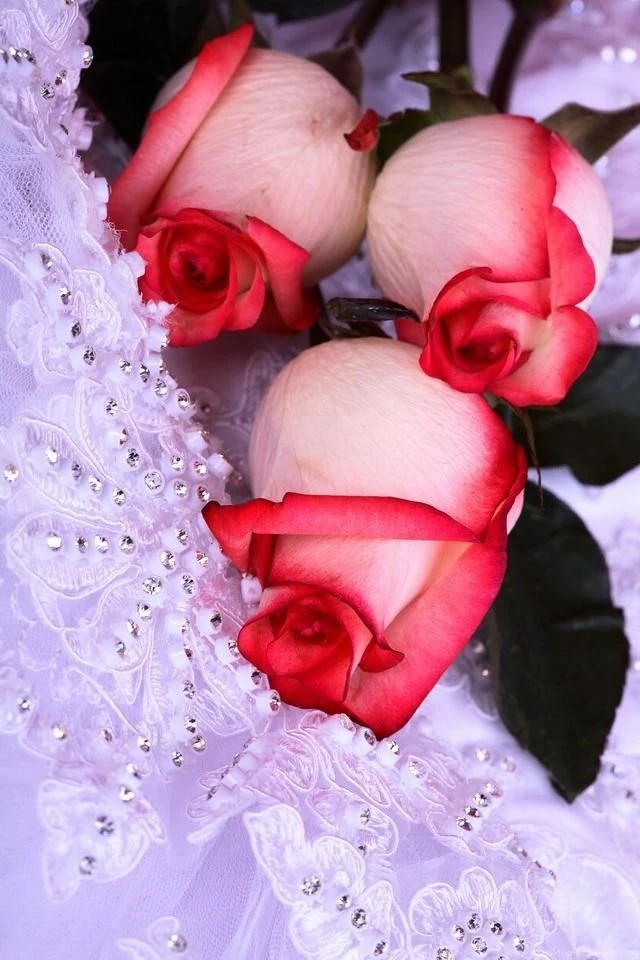 Wedding Flowers iPhone 4 Wallpapers