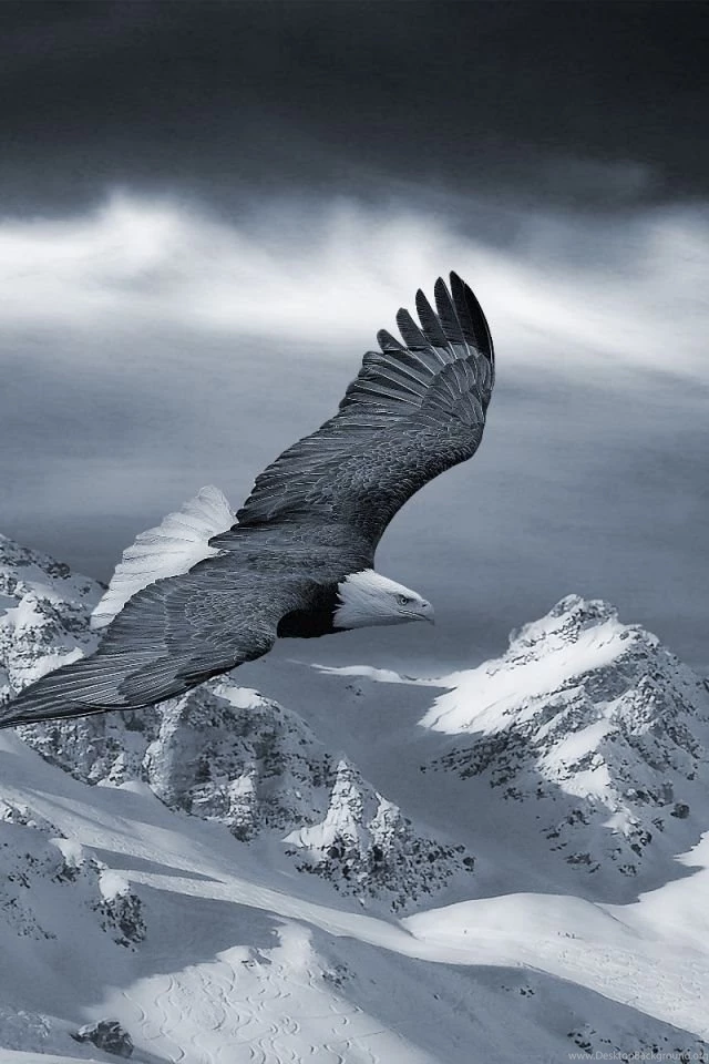 Download Wallpapers 640x960 Eagle, Mountain, Sky, Snow, Hills ...