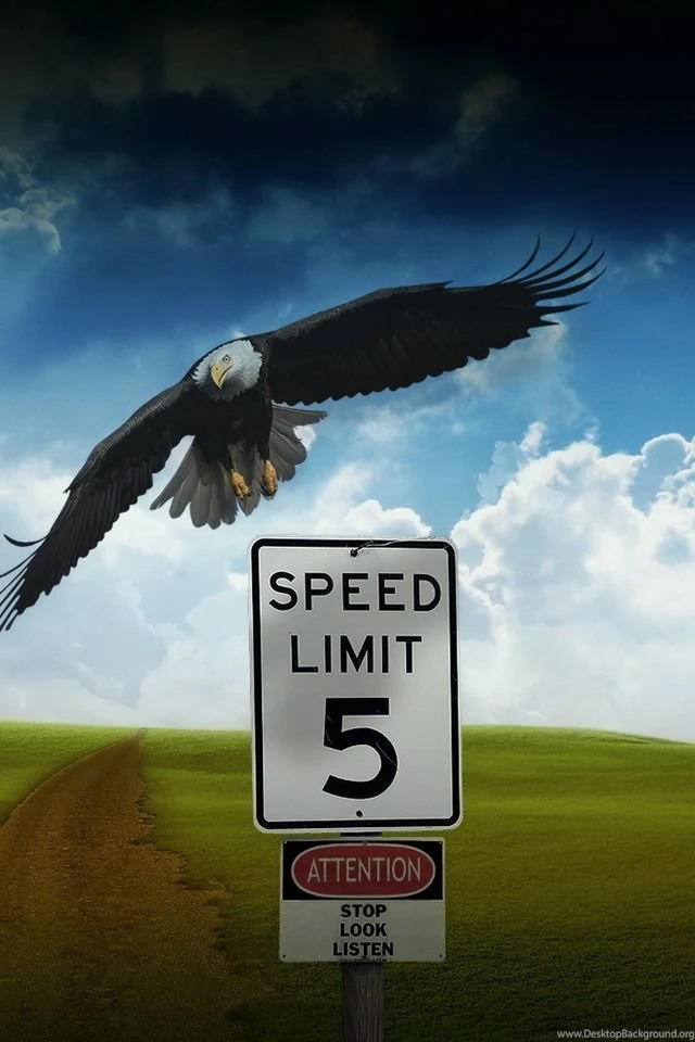 Eagle Speed Limit iPhone 4s Wallpapers Download