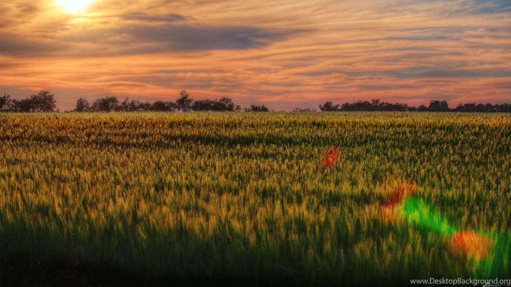 40+ Beautiful Nature Wallpapers HD For Desktop