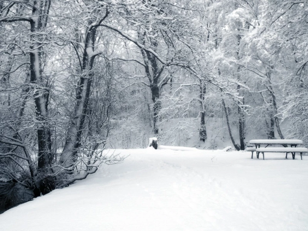 Snow wallpaper 1853 amazing widescreen.jpg