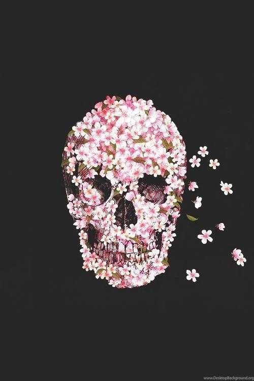 Top Pink Skull Wallpapers For Iphone Images For Pinterest