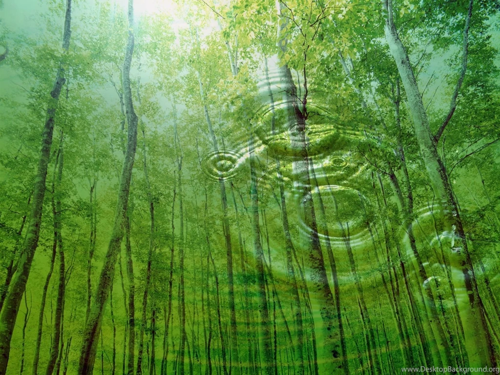 Nature World Wallpapers HD Wallpapers