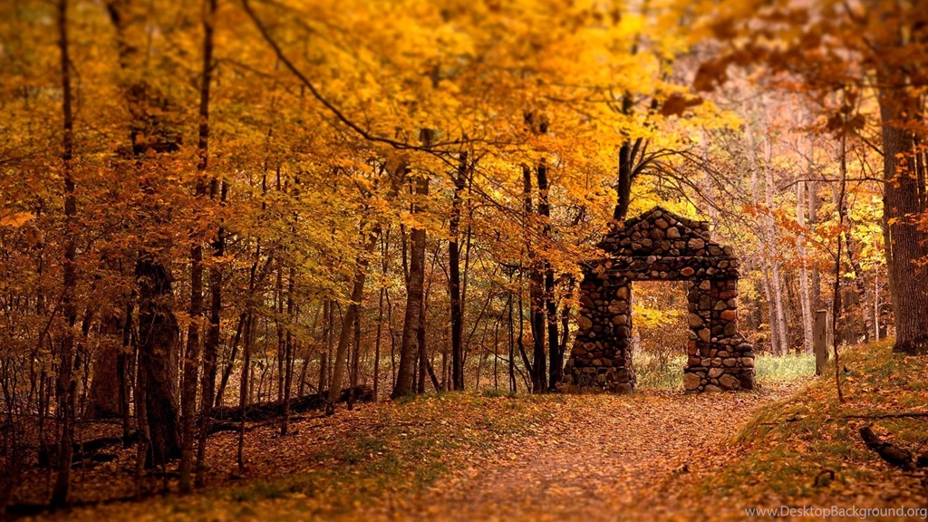 Nature: Path To Heaven, Picture Nr. 57564