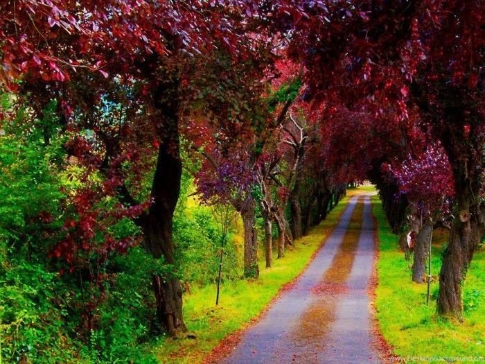 Nature & World Beautiful Spots 40 Hd Wallpapers XDwallpaper.com