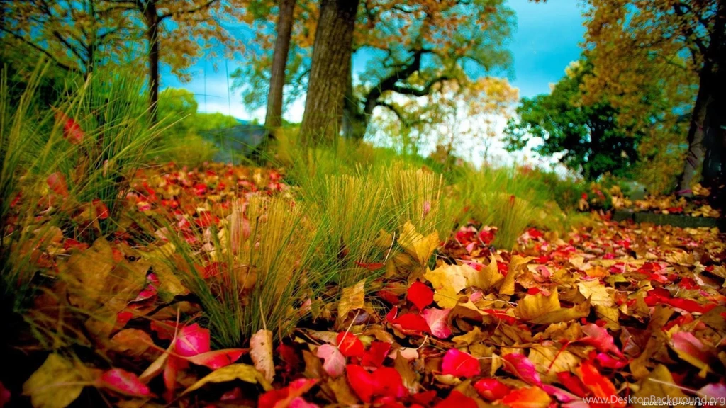 Hd Wallpapers 1080p Nature Autumn Desktop Background