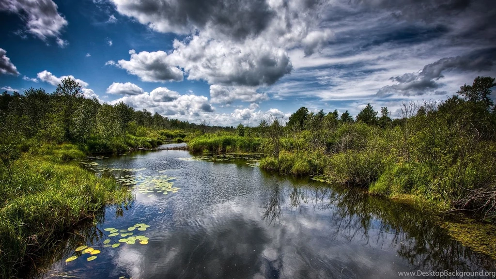 Nature hd background 9.jpg