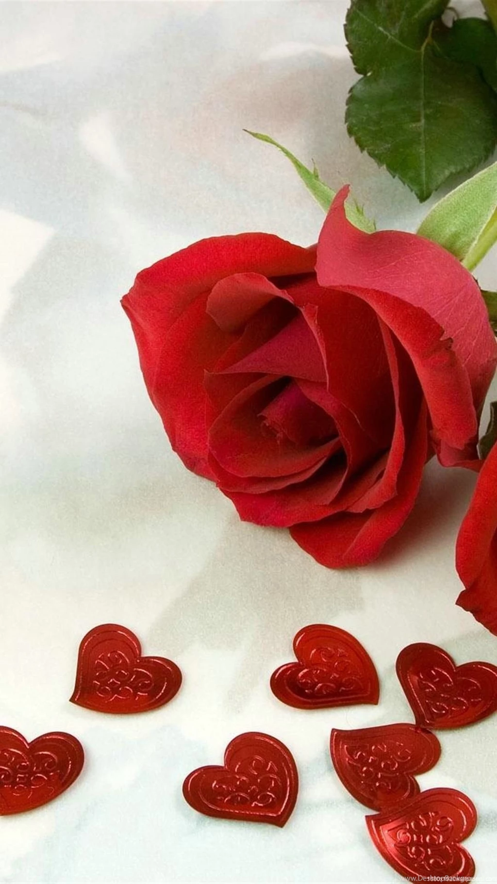 1080x1920 Rose Love Heart Flowers Wallpapers HD