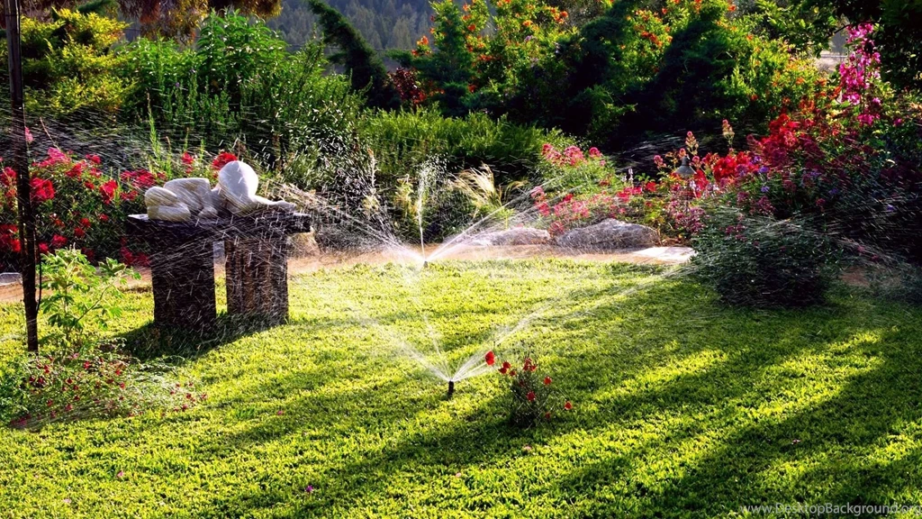 Water Nature Plants Fresh New Hd Wallpapers [Your Popular HD ...