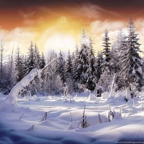 Best 15 Free Christmas iPad 2 Wallpapers