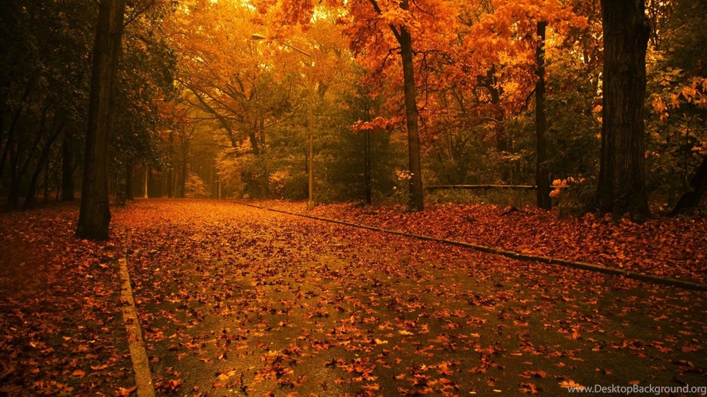 New Nature Wallpapers In HD Resolution 2013 Collection3
