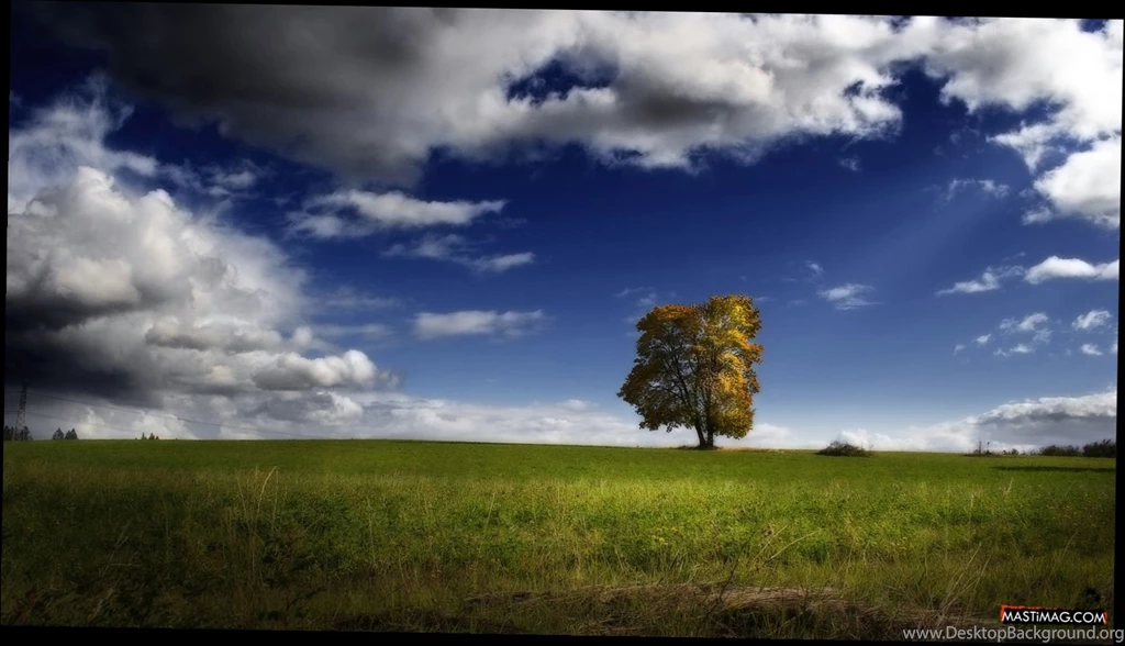 Natural_background_wallpaper_hd_2.jpg