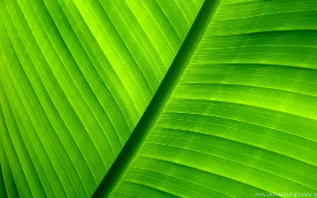 Natural_background_wallpaper_hd.jpg
