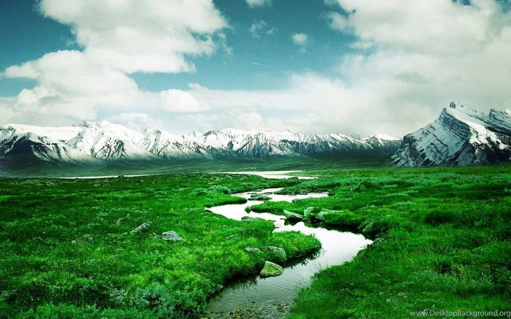 Desktop Backgrounds Wallpapers Free Art Wallpaperz