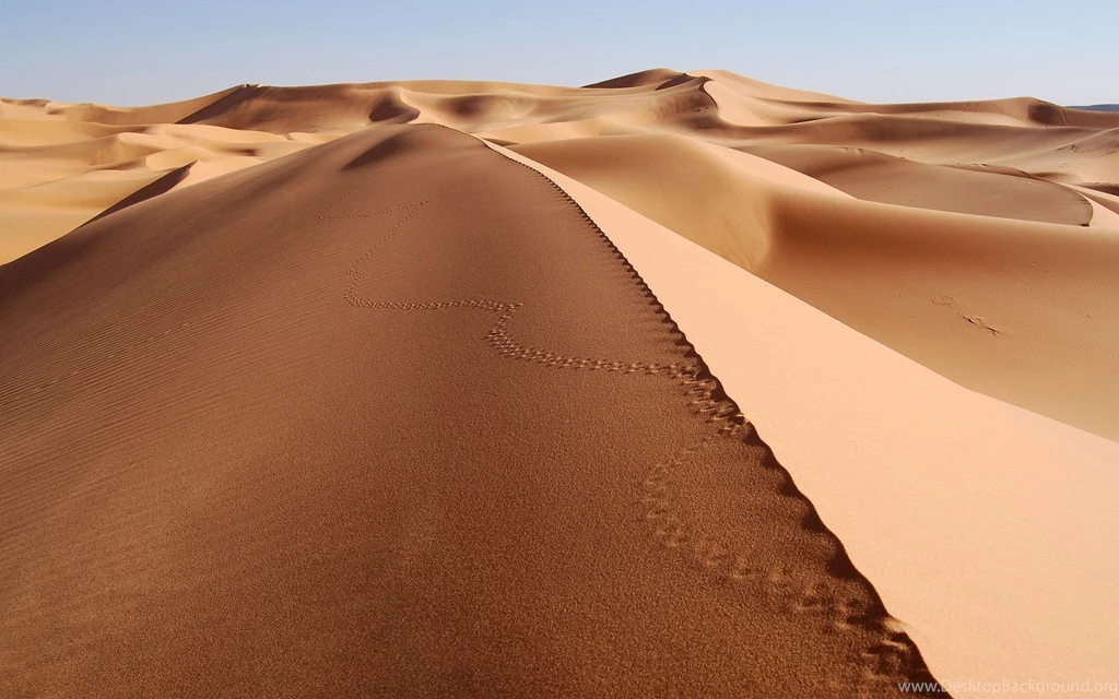 Sand Sea Wallpapers