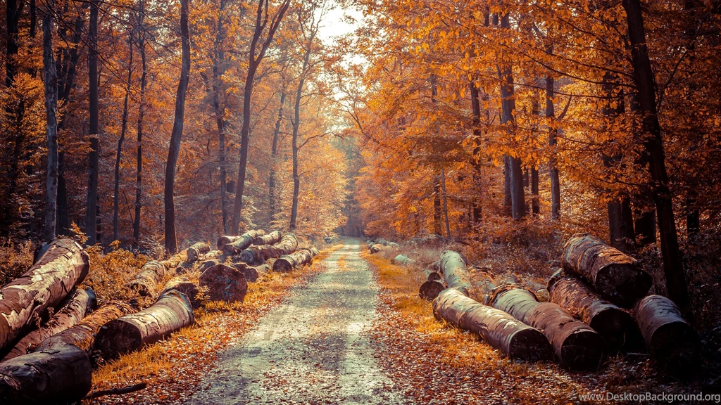 Autumn 2 Wallpapers :: HD Wallpapers
