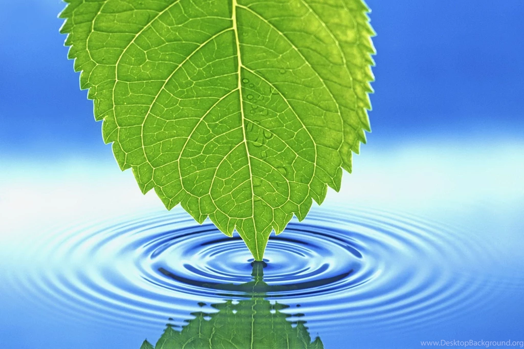 Nature Wallpapers HD Desktop Backgrounds Page 211