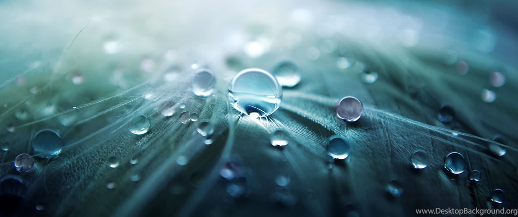 Ultrawide, Landscape, Nature, Photography, Macro Wallpapers HD