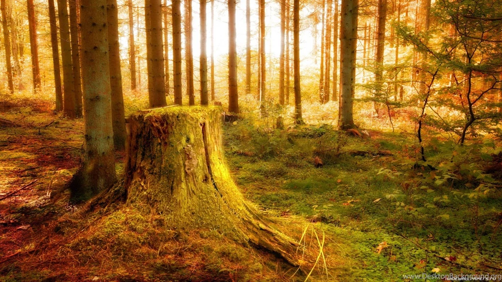 Nature Wallpapers 1920x1080