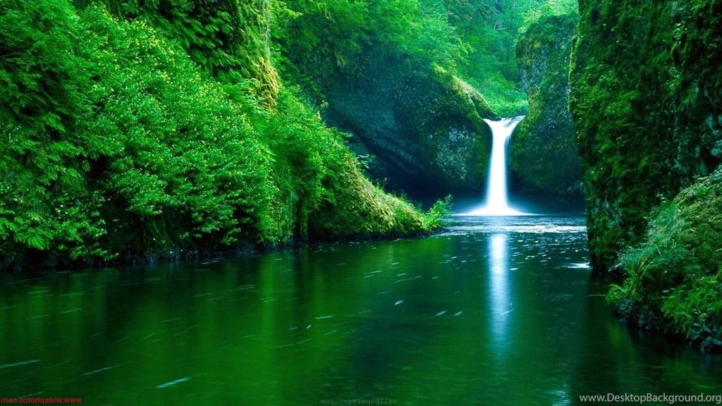 Nature Backgrounds Wallpapers