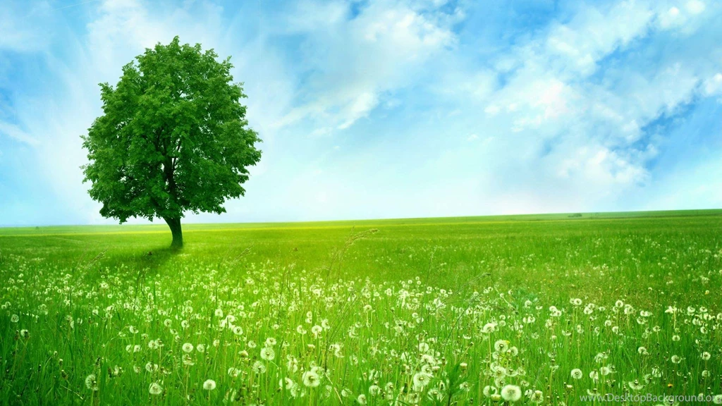 Green Nature Wallpapers