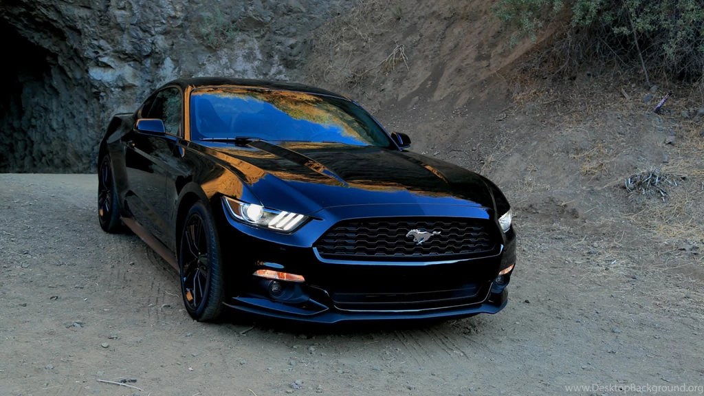 2015 Ford Mustang Coupe Muscle Wallpapers