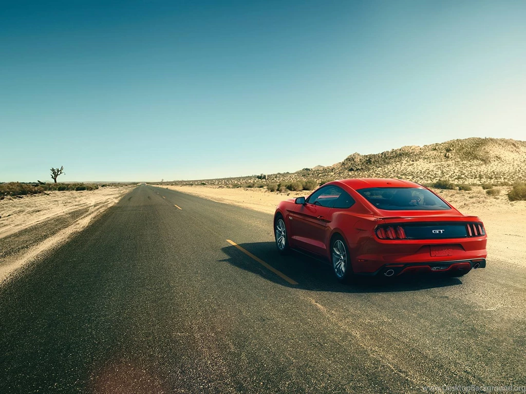 2015 Ford Mustang 50th Anniversary