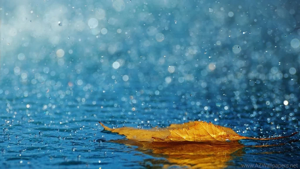 Download Wallpapers 1366x768 Leaf, Drops, Rain, Autumn, Water ...