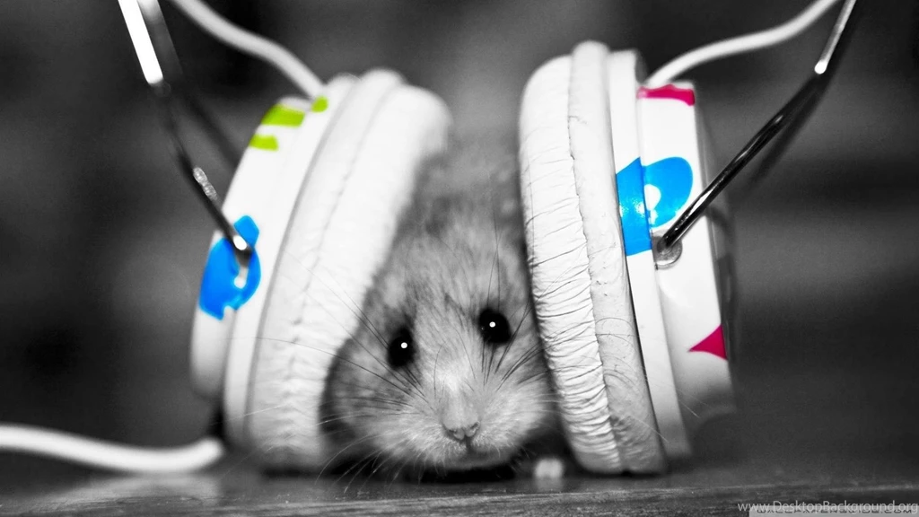 Top Dj Hd Wallpapers 1080p Images For Pinterest