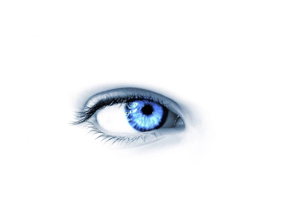 1152x864 Blue Eye On White Desktop PC And Mac Wallpapers