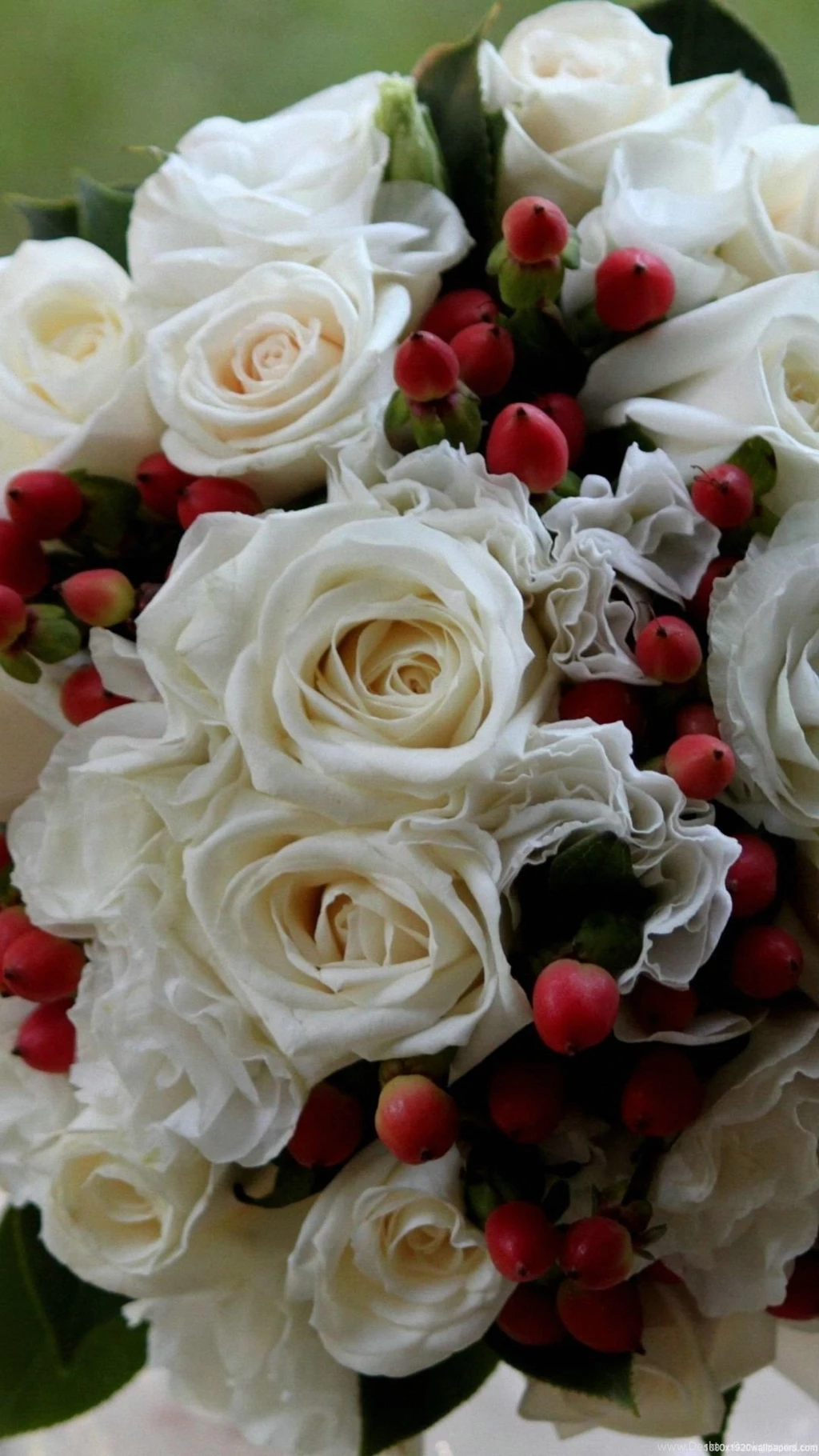 1080x1920 Design Beautiful Rose Flowers Wallpapers HD