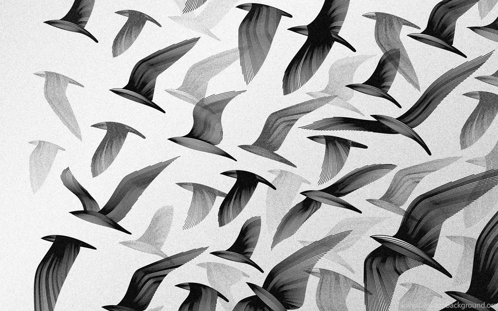Black And White HD Wallpapers HD Images New