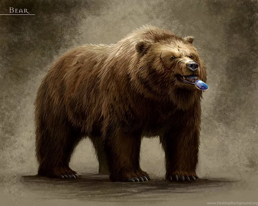 Bears Wallpapers