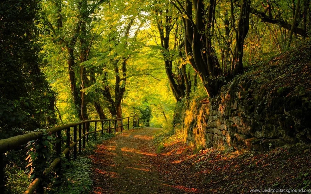 Free Laptop Wallpaper Desktop Image Background Picture.jpg